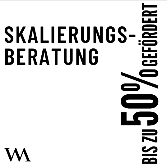 Skalierungs-Beratung - bis zu 50% gefördert* - Webmeisterin