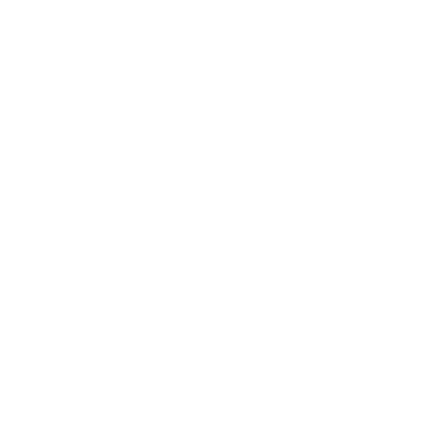 WEBMEISTERIN
