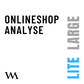 Onlineshop Analyse - Förderungen bis zu 80% möglich