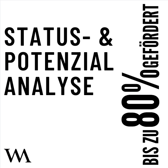 Status- und Potenzial-Analyse - KMU.DIGITAL Förderung mit 80% möglich* - Webmeisterin