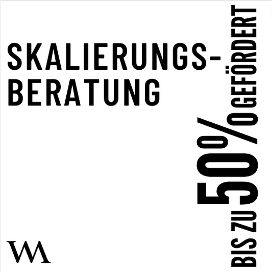 Skalierungs-Beratung - bis zu 50% gefördert* - Webmeisterin